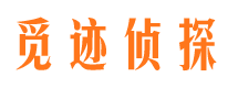 砀山市私家侦探